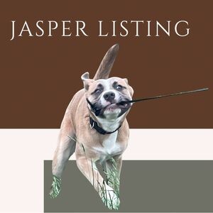 Live show listing - S, M, L, & XL (JM)